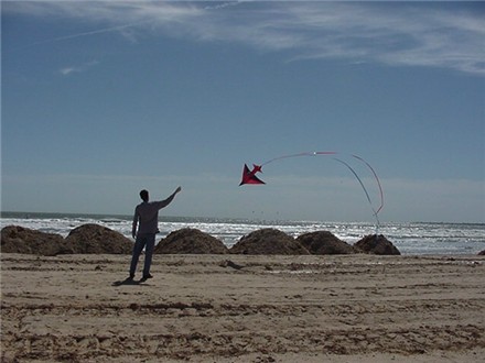 Dave trying to fly a kite