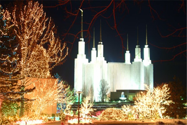 Christmas Lights at DC Temple